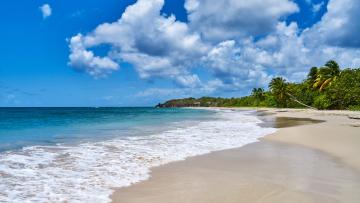 Madinina : La Martinique Authentique