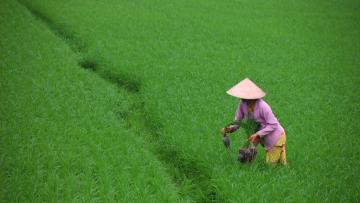 Charmes insolites d'Indochine