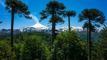 Chili d'exception, du Sud au Nord