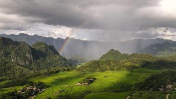 Rizières et culture