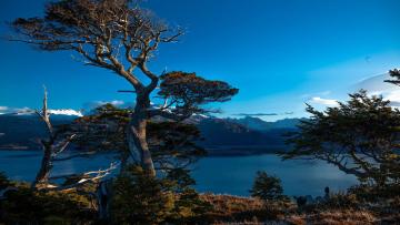 Un voyage en Terre de Feu by Explora