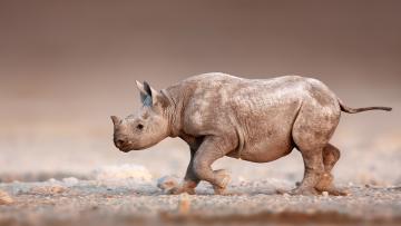 Le Meilleur de la Namibie 2025