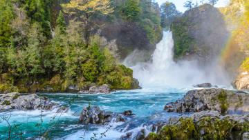 Réserve de Huilo Huilo