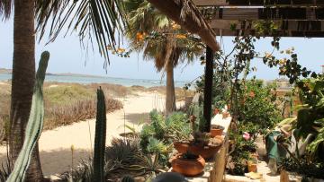 Orquidea Guest House