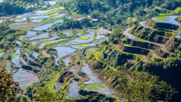 Découvertes et exotisme